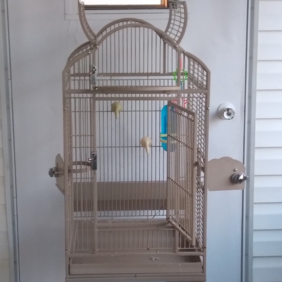 Bird cage home - Picture 6 of 6